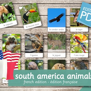 SOUTH AMERICA ANIMALS French Edition • 28 French and 28 English Editable Montessori Cards • Flash Cards Nomenclature Pdf Printable preschool