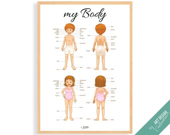 MY BODY POSTER • Montessori Poster • Montessori Homeschooling Lernposter für Kinder im Vorschulalter