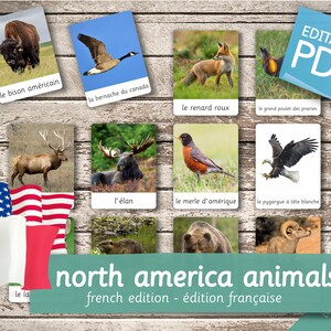 NORTH AMERICA ANIMALS French Edition • 28 French and 28 English Editable Montessori Cards • Flash Cards Nomenclature Pdf Printable preschool