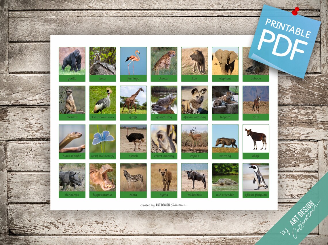 WORLD ANIMALS BOOK 7 Printable Cards 17 X 11 | Etsy