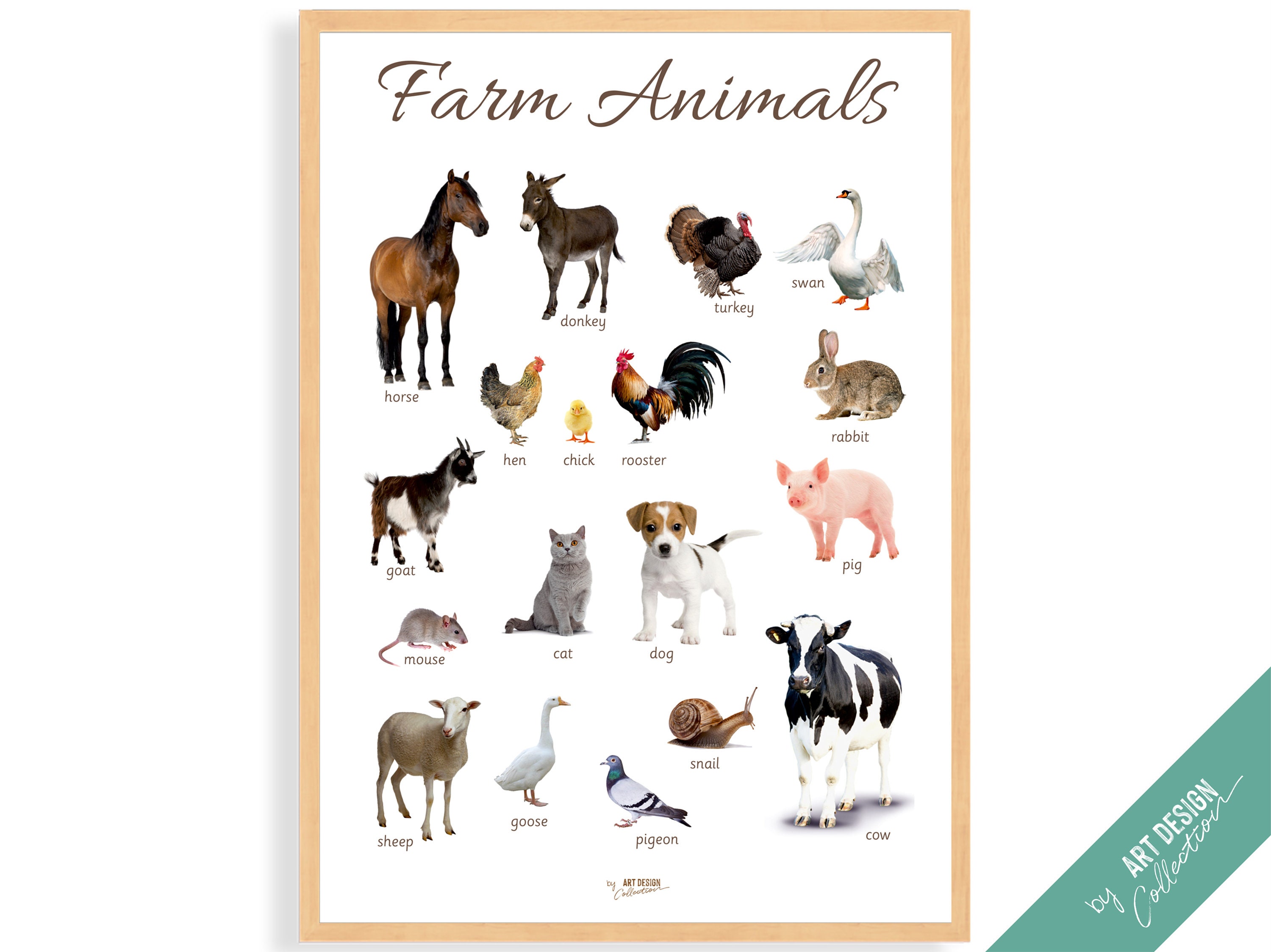 Affiche Poster Pédagogique - Animaux de la ferme - Léonie & France