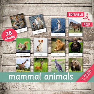 ANIMAUX MAMMIFÈRES • 28 cartes Montessori modifiables • Cartes Flash Cartes Flash de nomenclature Pdf Cartes imprimables Jouets Montessori, maternelle