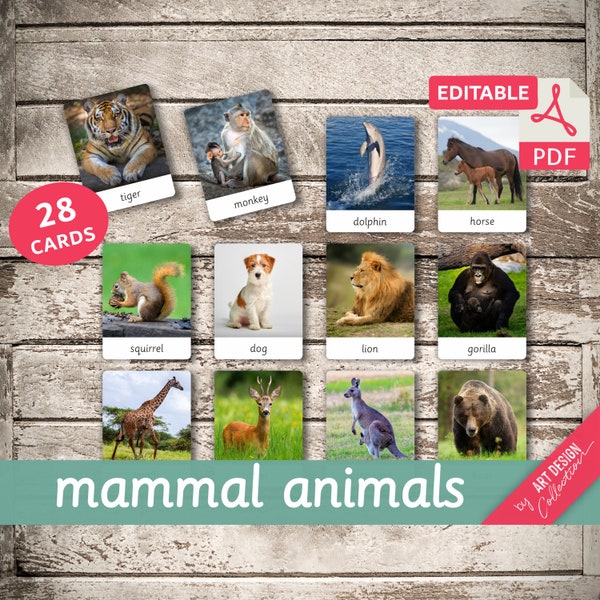 MAMMAL ANIMALS • 28 Editable Montessori Cards • Flash Cards Nomenclature FlashCards Pdf Printable Cards Montessori Toys preschool