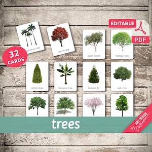 TREES (real pictures) • 32 Editable Montessori Cards • Flash Cards  Nomenclature FlashCards  Editable Pdf Printable Cards preschool