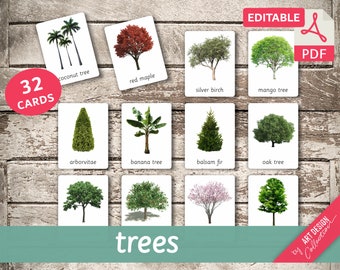 TREES (real pictures) • 32 Editable Montessori Cards • Flash Cards  Nomenclature FlashCards  Editable Pdf Printable Cards preschool