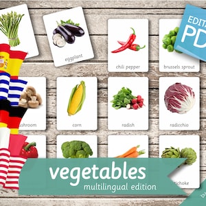 VEGETABLES MULTILINGUAL Edition • 46 English, French, German, Greek, and Spanish Editable Montessori Cards • Nomenclature Cards preschool