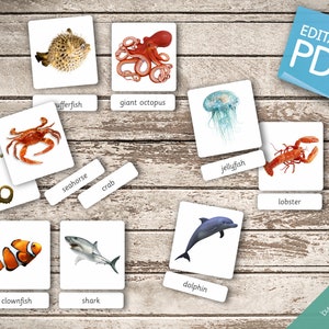 OCEAN ANIMALS 22 Montessori Cards Flash Cards Nomenclature FlashCards Editable Pdf Printable Cards preschool zdjęcie 4