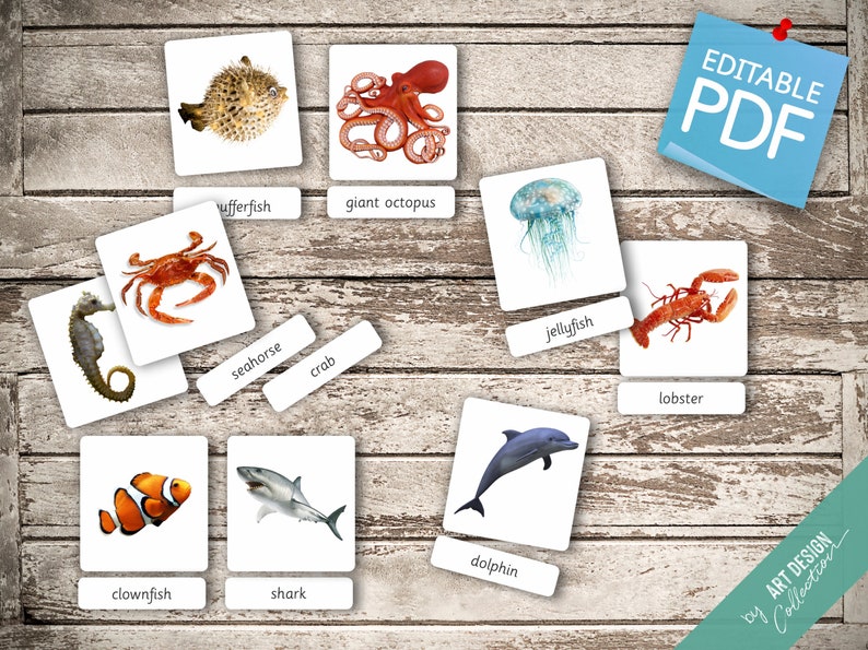 OCEAN ANIMALS 22 Montessori Cards Flash Cards Nomenclature FlashCards Editable Pdf Printable Cards preschool zdjęcie 4