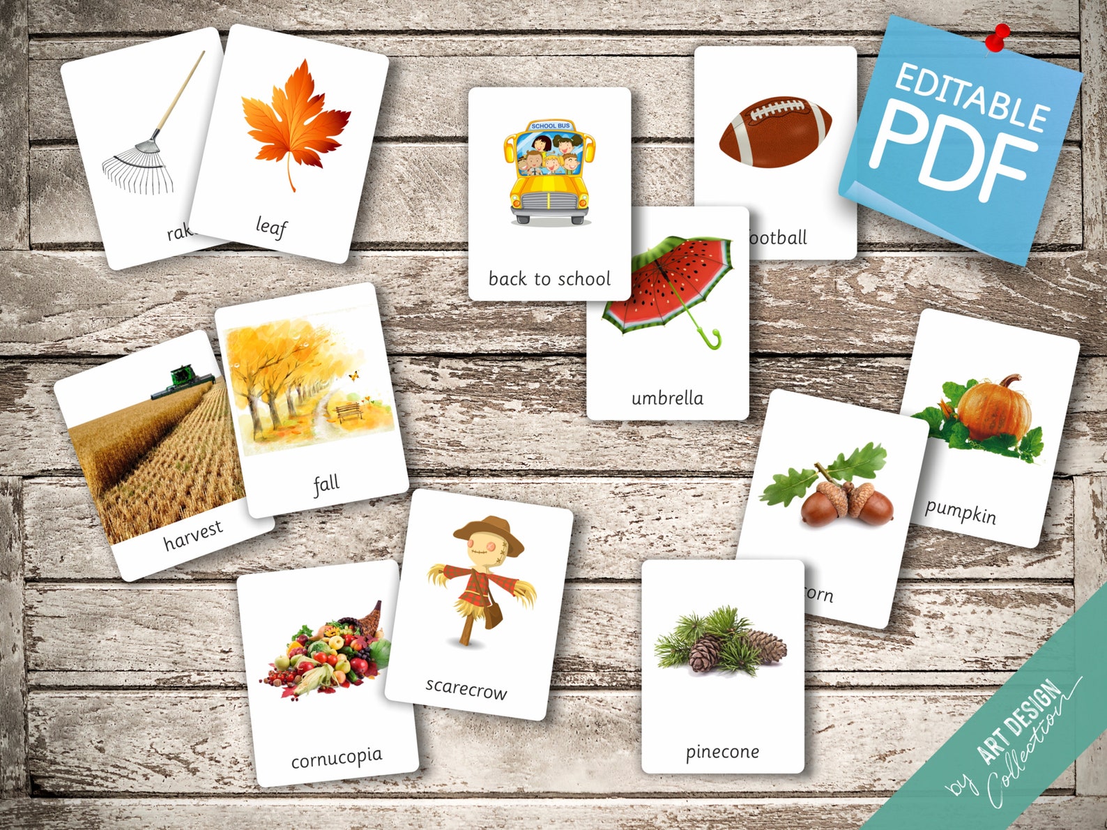 FALL Vocabulary 40 Editable Montessori Cards Flash Cards | Etsy