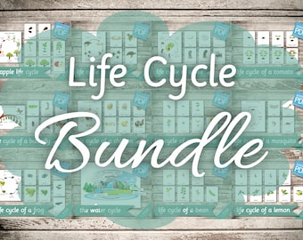 LIFE CYCLE BUNDLE • 12 Life Cycles •  Montessori Cards Flash Cards  Nomenclature FlashCards  Editable Pdf Printable Cards preschool