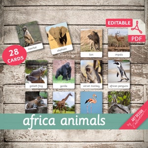 AFRICA ANIMALS • 28 Editable Montessori Cards • Flash Cards  Nomenclature FlashCards  Editable PDF Printable Cards Montessori Toys preschool