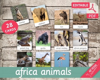 Peut inclure: Un ensemble de 28 cartes flash illustrant divers animaux d'Afrique. Les cartes sont colorées et présentent des images de haute qualité d'animaux tels qu'une suricate, un éléphant, un lion, une impala, une grenouille Goliath, un gorille, un singe vervet, des manchots africains, une girafe, un flamant rose et un lémurien. Les cartes sont étiquetées avec le nom de l'animal et sont parfaites pour apprendre la faune africaine.