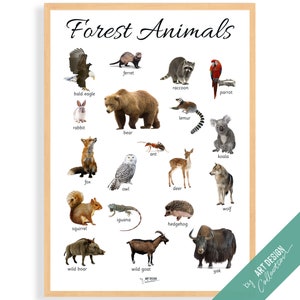 CARTEL DE ANIMALES DEL BOSQUE • Póster Montessori • Póster de aprendizaje educativo Montessori para la educación en el hogar para niños en la guardería, preescolar