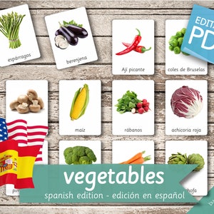 VEGETABLES SPANISH Edition (real pictures) • 46 Spanish and 46 English Editable Montessori Cards • Flash Cards Nomenclature Pdf preschool