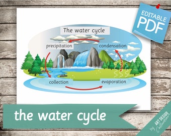 THE WATER CYCLE • 4 Montessori Cards • Flash Cards  Nomenclature FlashCards  Editable Pdf Printable Cards preschool