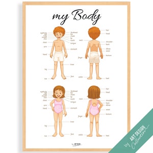 MY BODY POSTER • Montessori Poster • Montessori Educational Homeschooling Learning Poster Kids Nursery Room preschool Toys