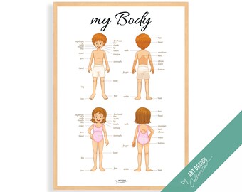 Puede incluir: Un gráfico educativo imprimible para niños que presenta dos ilustraciones de un niño y una niña, de frente y de espalda, con etiquetas para diferentes partes del cuerpo. El gráfico se titula "my Body" e incluye etiquetas para partes del cuerpo como cabello, frente, ojos, nariz, boca, barbilla, pecho, brazo, mano, pierna, pie, tobillo, talón, hombro, espalda, codo, cintura, trasero, estómago, cuello, lengua, dedo y rodilla.