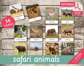 ANIMALI DA SAFARI • 36 carte Montessori modificabili • Schede flash Nomenclatura Schede flash PDF stampabili Giocattoli prescolari