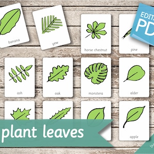 PLANT LEAVES • 32 Editable Montessori Cards • Flash Cards Nomenclature FlashCards Pdf Printable Cards Montessori Toys preschool