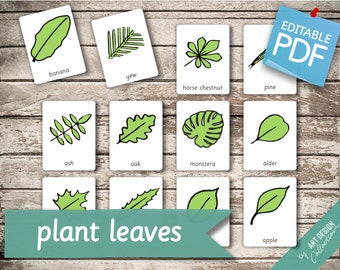 PLANT LEAVES • 32 Editable Montessori Cards • Flash Cards Nomenclature FlashCards Pdf Printable Cards Montessori Toys preschool