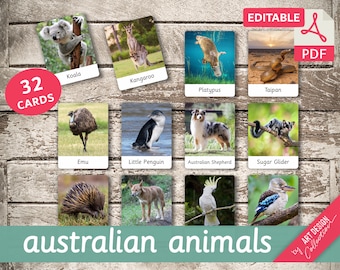 May include: A set of 32 printable flashcards featuring Australian animals. The cards are colorful and feature high-quality images of animals like a koala, kangaroo, platypus, emu, and more. The cards are labeled with the animal's name and are perfect for learning about Australian wildlife.