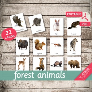 FOREST ANIMALS real pictures 22 Editable Montessori Cards Flash Cards Nomenclature FlashCards Editable PDF Printable Cards preschool zdjęcie 1