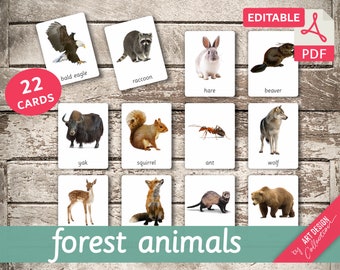 FOREST ANIMALS (real pictures) • 22 Editable Montessori Cards • Flash Cards Nomenclature FlashCards Editable PDF Printable Cards preschool