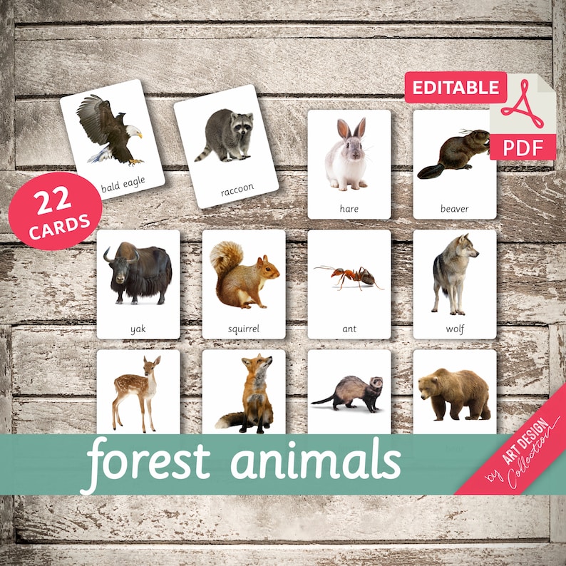 FOREST ANIMALS real pictures 22 Editable Montessori Cards Flash Cards Nomenclature FlashCards Editable PDF Printable Cards preschool afbeelding 1