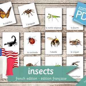 INSECTES Édition FRANÇAISE • 22 cartes Montessori modifiables en français et 22 en anglais • Cartes Flash Cartes de nomenclature Pdf Cartes imprimables préscolaire