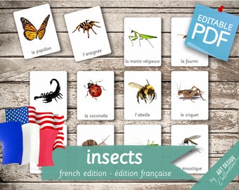 INSECTS FRENCH Edition • 22 French and 22 English Editable Montessori Cards • Flash Cards  Nomenclature Cards Pdf Printable Cards preschool