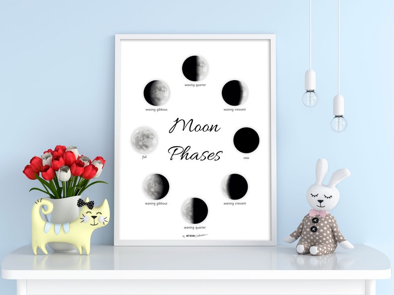 MOON PHASES Montessori Poster Montessori Educational Homeschooling Learning Poster Kids Nursery Room preschool image 3