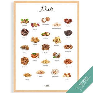 POSTER NÜSSE • Montessori Poster • Montessori Homeschooling Lernposter für Kinder Vorschule