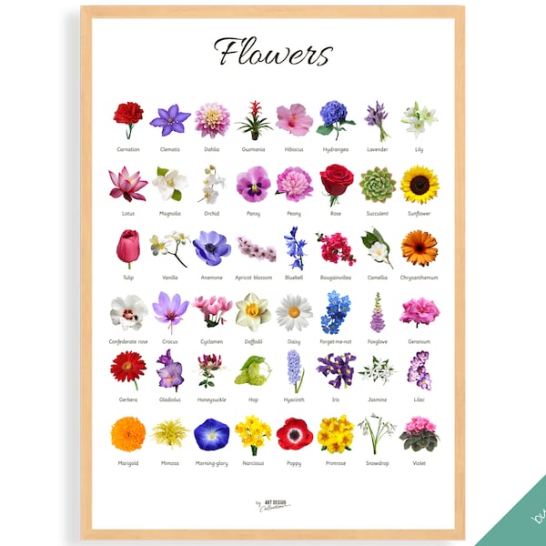 FLOWERS POSTER • Montessori Poster • Montessori Educational Homeschooling Learning Poster Kids Nursery Room preschool