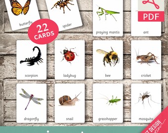 INSECTS • 22 Editable Montessori Cards • Flash Cards  Nomenclature FlashCards  Editable Pdf Printable Cards preschool