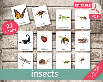 INSECTEN • 22 bewerkbare Montessori-kaarten • Flash-kaarten Nomenclatuur FlashCards Bewerkbare PDF-afdrukbare kaarten voorschoolse