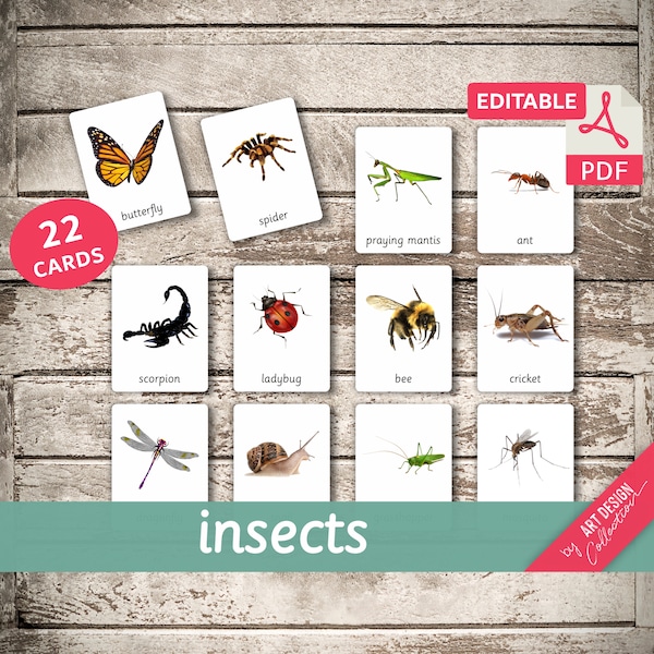 INSECTS • 22 Editable Montessori Cards • Flash Cards  Nomenclature FlashCards  Editable Pdf Printable Cards preschool