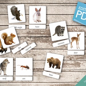 FOREST ANIMALS real pictures 22 Editable Montessori Cards Flash Cards Nomenclature FlashCards Editable PDF Printable Cards preschool zdjęcie 4
