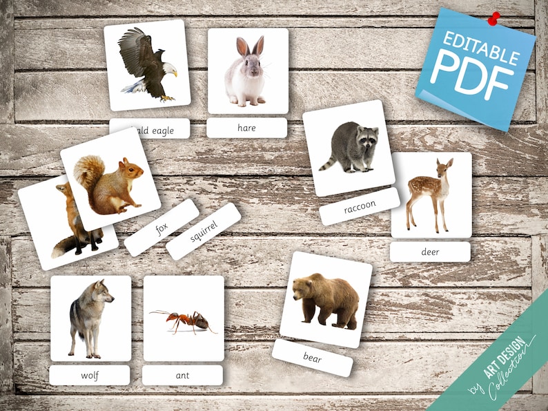 FOREST ANIMALS real pictures 22 Editable Montessori Cards Flash Cards Nomenclature FlashCards Editable PDF Printable Cards preschool zdjęcie 4