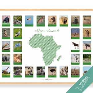AFRICA ANIMALS Poster • Montessori Poster • Montessori Educational Homeschooling Learning Poster Kids Nursery Room preschool