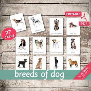 BREEDS OF DOG (real pictures) • 27 Editable Montessori Cards • Flash Cards Nomenclature FlashCards Pdf Printable Cards Preschool Toys