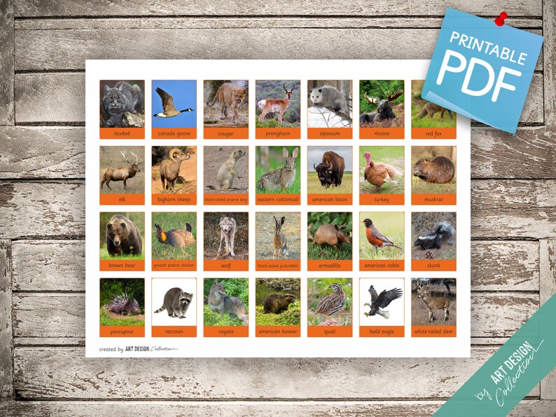 WORLD ANIMALS BOOK 7 Printable Cards 17 X 11 | Etsy