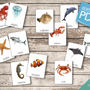 OCEAN ANIMALS 22 Montessori Cards Flash Cards Nomenclature FlashCards Editable Pdf Printable Cards preschool zdjęcie 3