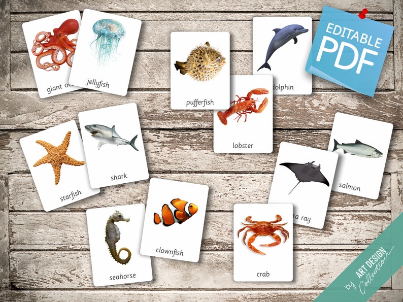 OCEAN ANIMALS 22 Montessori Cards Flash Cards Nomenclature FlashCards Editable Pdf Printable Cards preschool zdjęcie 3