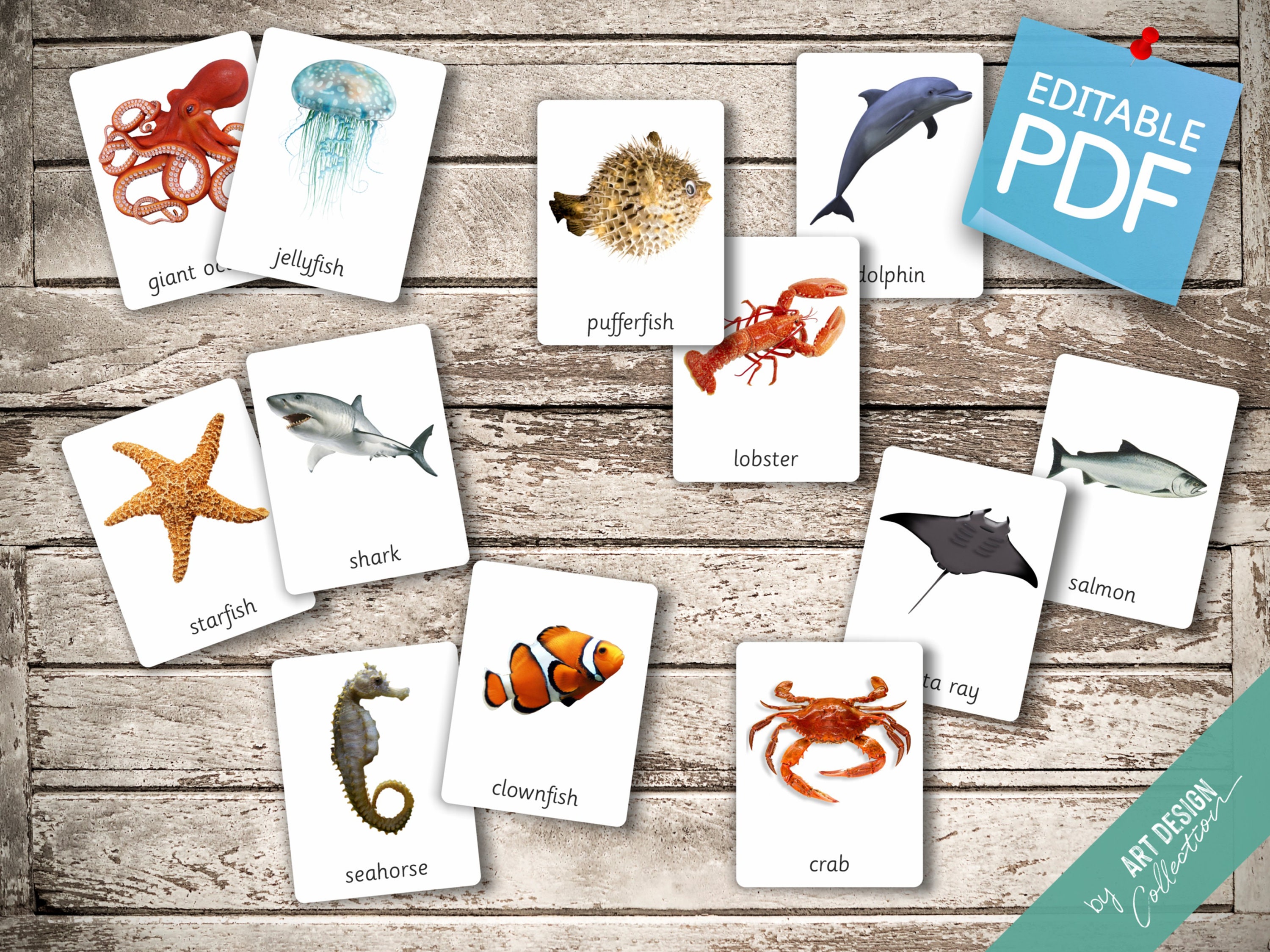 OCEAN ANIMALS • 22 Montessori Cards • Flash Cards Nomenclature ...