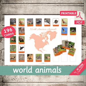 LIBRO DE ANIMALES DEL MUNDO • 7 tarjetas imprimibles de 17" x 11" • 196 tarjetas de animales • Tarjetas didácticas Tarjetas de nomenclatura en formato PDF Tarjetas imprimibles Juguetes preescolares