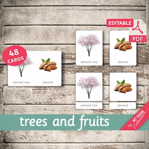 TREES AND FRUITS • 48 Montessori Cards • Flash Cards  Nomenclature FlashCards  Editable Pdf Printable Cards preschool