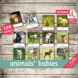 ANIMALS' BABIES • 108 Editable Montessori Cards • Flash Cards Nomenclature FlashCards PDF Printable Cards preschool Toys