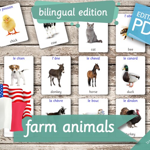 FARM ANIMALS BILINGUAL 22 Editable Montessori Cards Flash - Etsy Canada FARM ANIMALS BILINGUAL 22 Editable Montessori Cards Flash - Etsy Canada