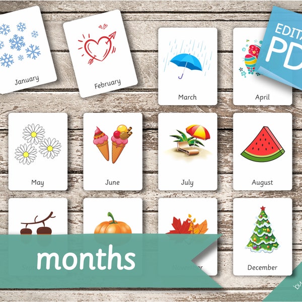 MONTHS • 60 Editable Montessori Cards • Flash Cards  Nomenclature FlashCards  Editable Toys Pdf preschool Cards Spring Summer Autumn Winter