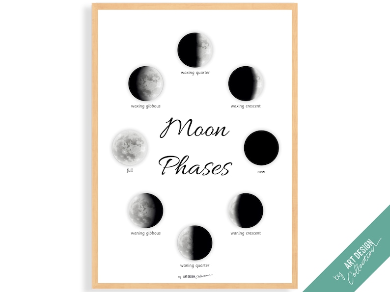 MOON PHASES Montessori Poster Montessori Educational Homeschooling Learning Poster Kids Nursery Room preschool image 8